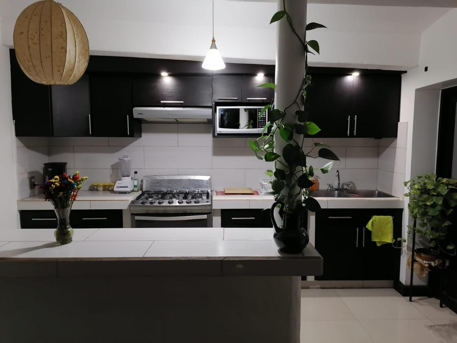 Casa Los Arcos Oaxaca Extérieur photo