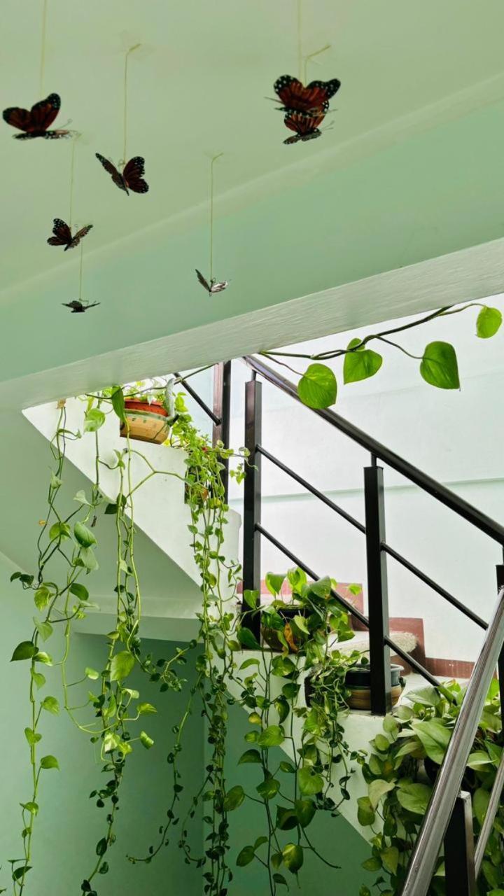 Casa Los Arcos Oaxaca Extérieur photo